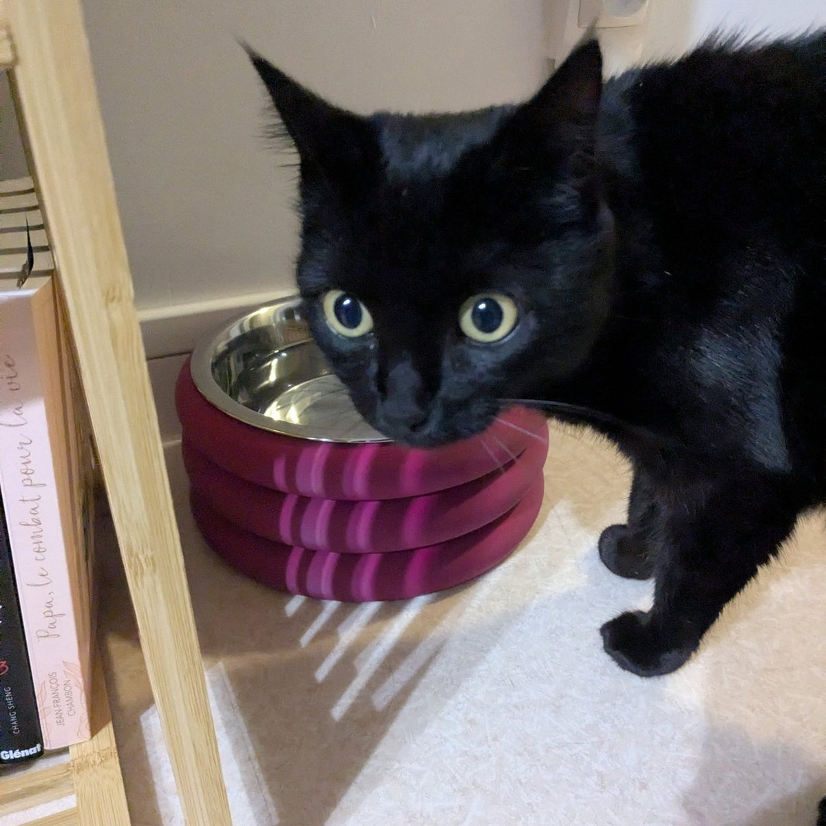 Gamelle design pour chat et chien – Donut, insert inox