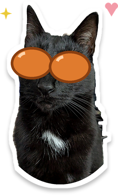 Yoko, la chatte de RONRON
